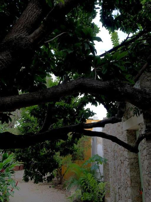 La Casa De Los Abuelos, New Pool And Rooms. Merida Exterior photo