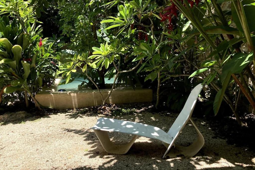 La Casa De Los Abuelos, New Pool And Rooms. Merida Exterior photo